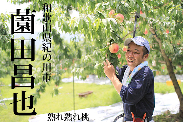 紀ノ川育ち第3弾。園田さん家の熟れ熟れ桃