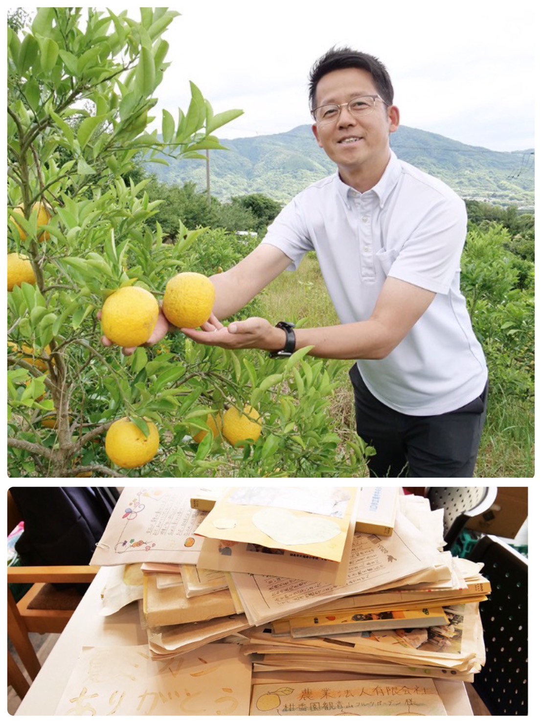 わかやま新報掲載記事