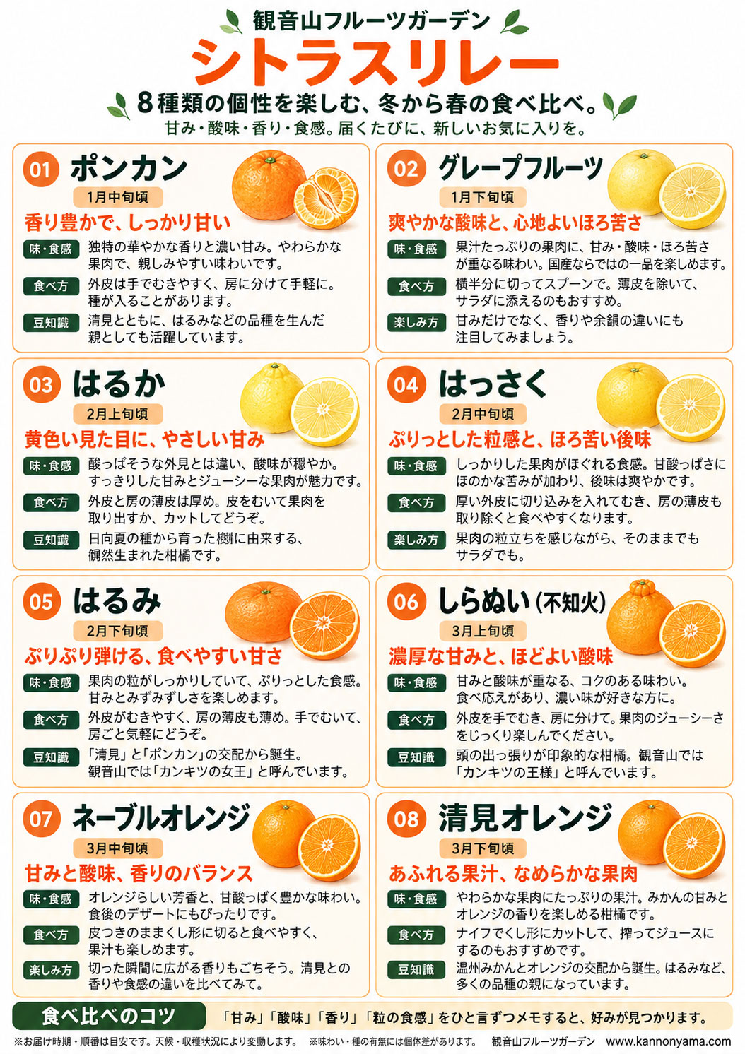 シトラスエイト 観音山 柑橘8品種食べ比べリレー