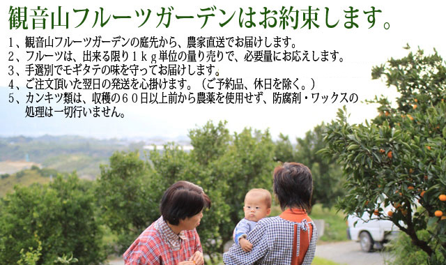 国産レモンの観音山フルーツガーデンのお約束
