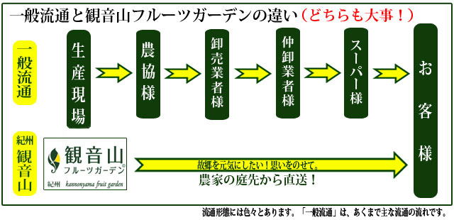 観音山フルーツガーデンと一般流通の違い。農家直送で朝露香るフルーツをお届けします。お届けしたいのは、フルーツとその先に広がるストーリーです。