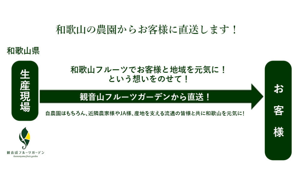 せとか 柑橘の最高峰「せとか」を農家直送！「せとか」は鮮度が命！