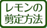 ˡ