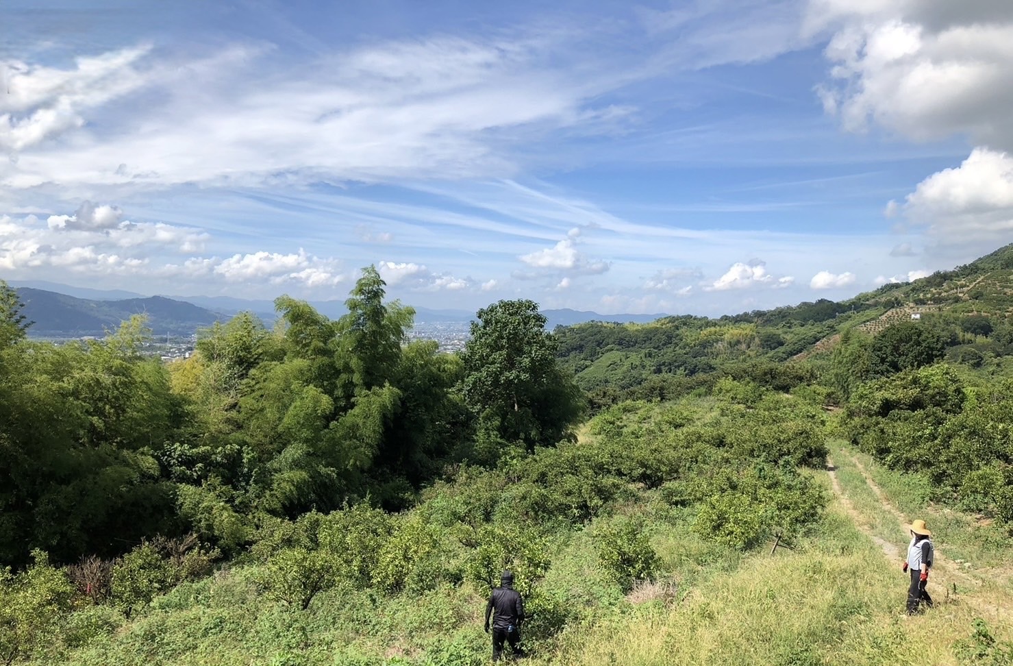 秋の空
