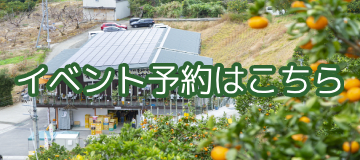 ピンクレモネード 和歌山県和歌山 観音山フルーツガーデン