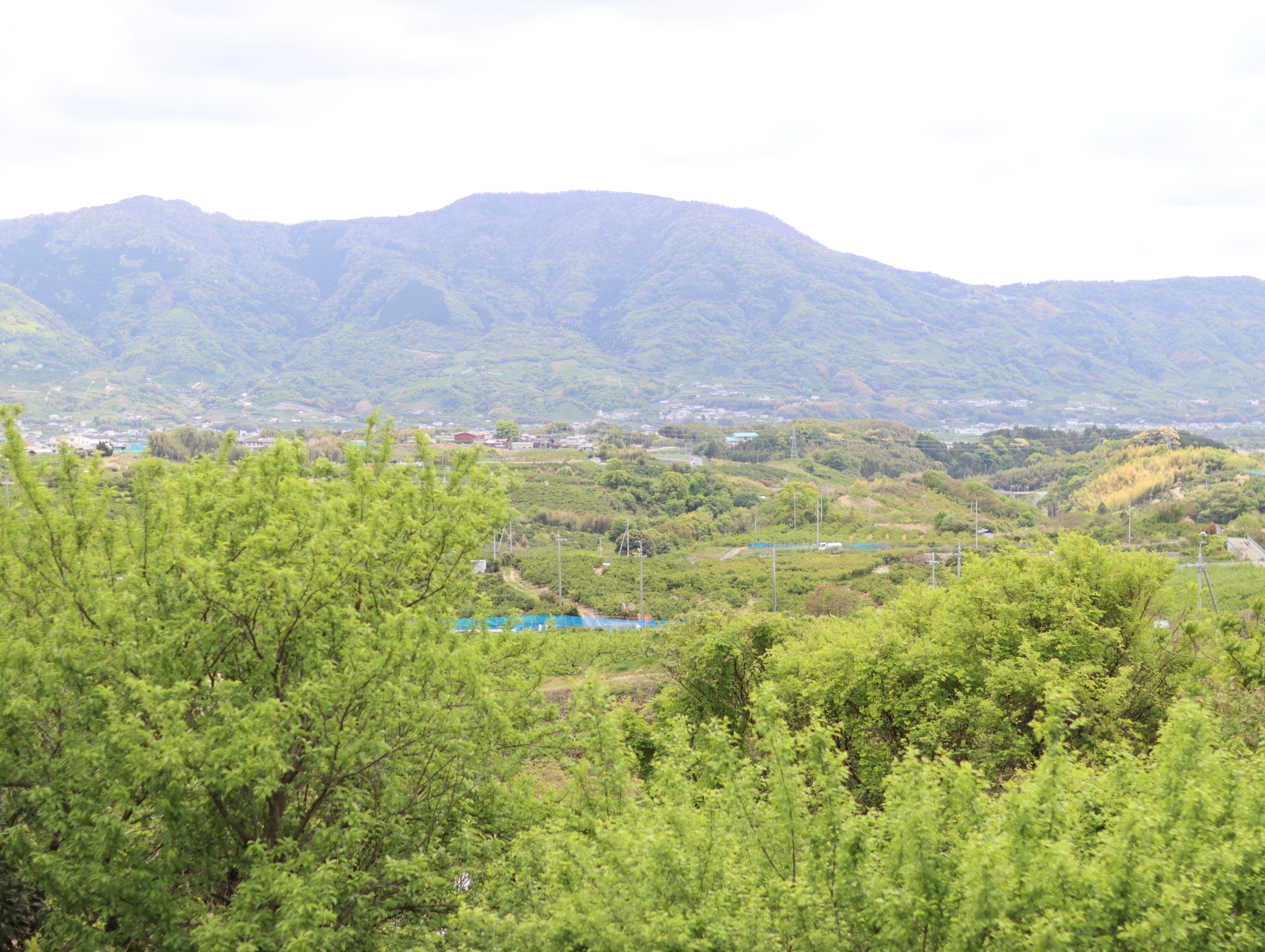 山の絶景