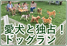 貸し切りドッグラン スカイサイト
