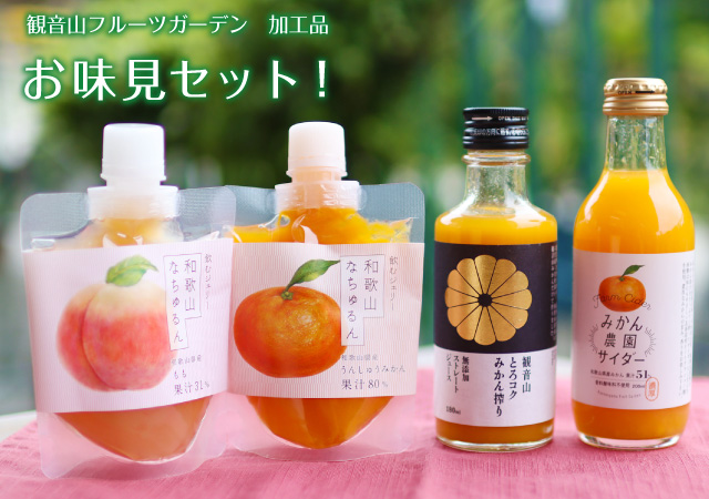 みかんサイダー（みかん農園サイダー）和歌山県産みかん果汁５１％入り