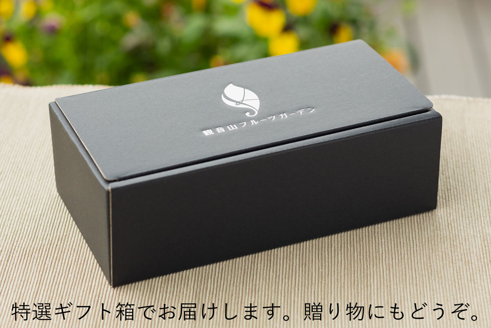 珍しいイチジク