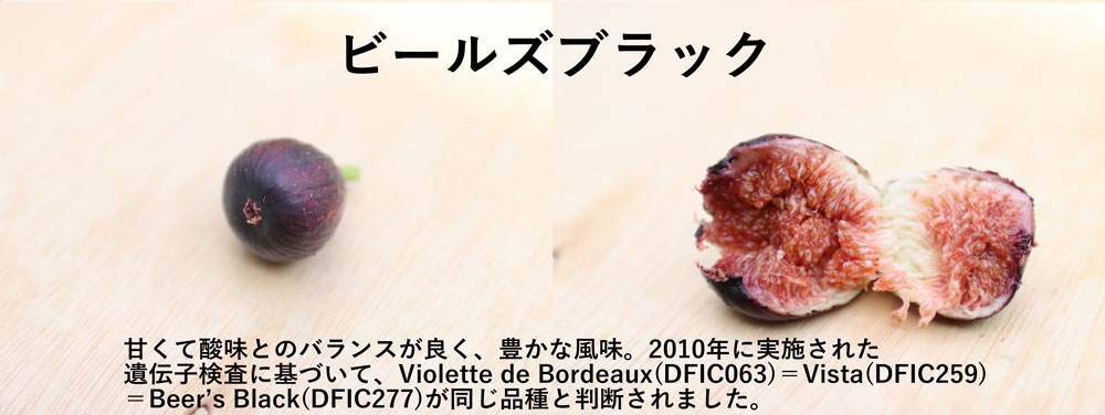 珍しいイチジクビールズブラック