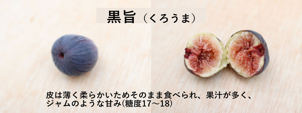 珍しいイチジク久留米くろあま