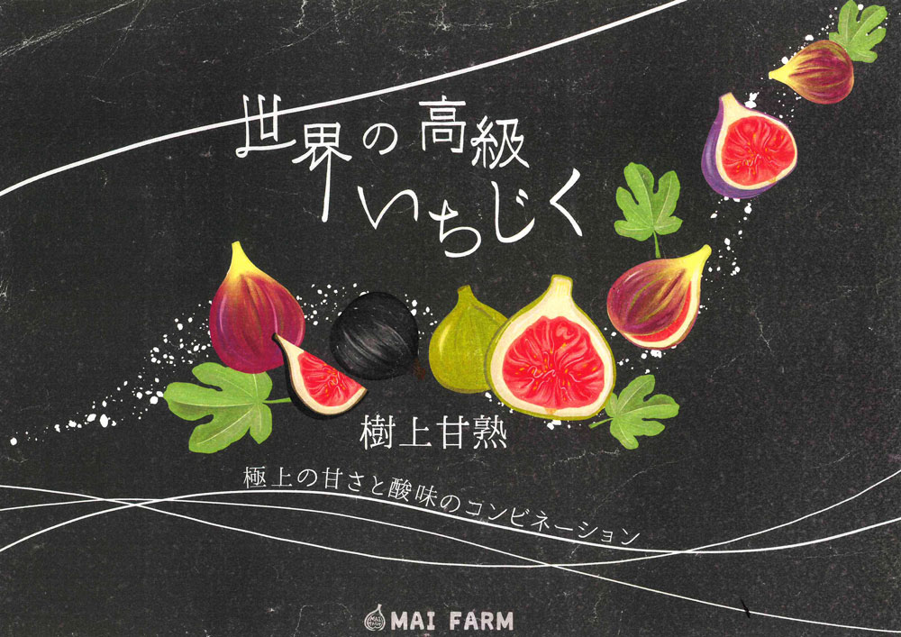 珍しいイチジク