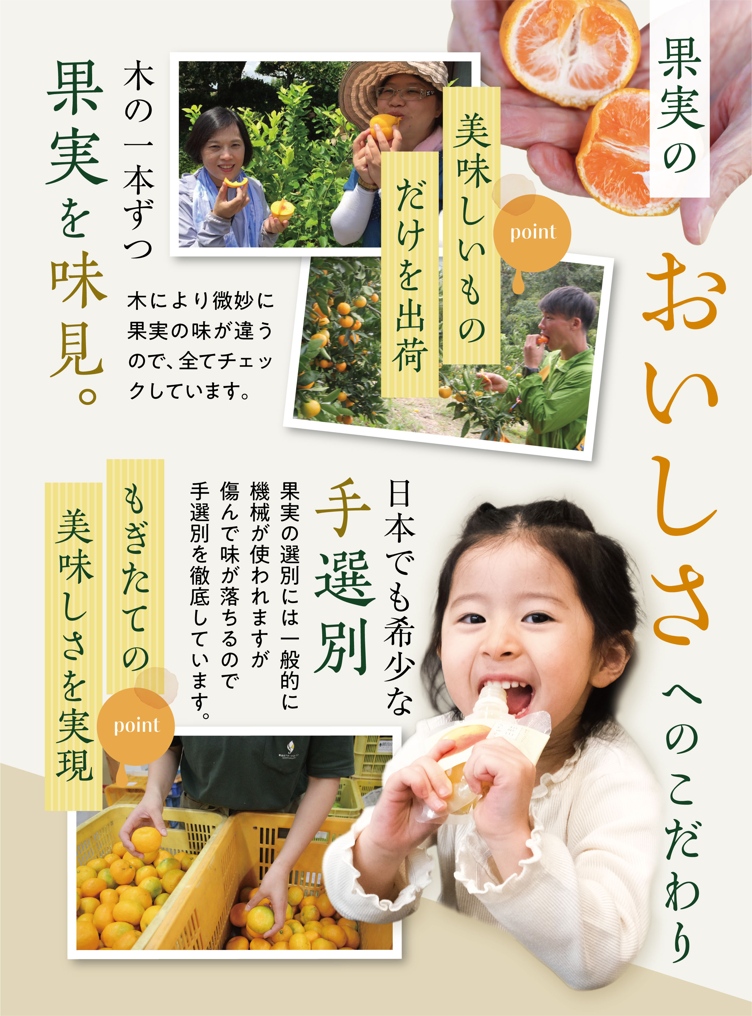 みかんゼリー,はっさくゼリー,はちみつレモンゼリー,なちゅるん,和歌山