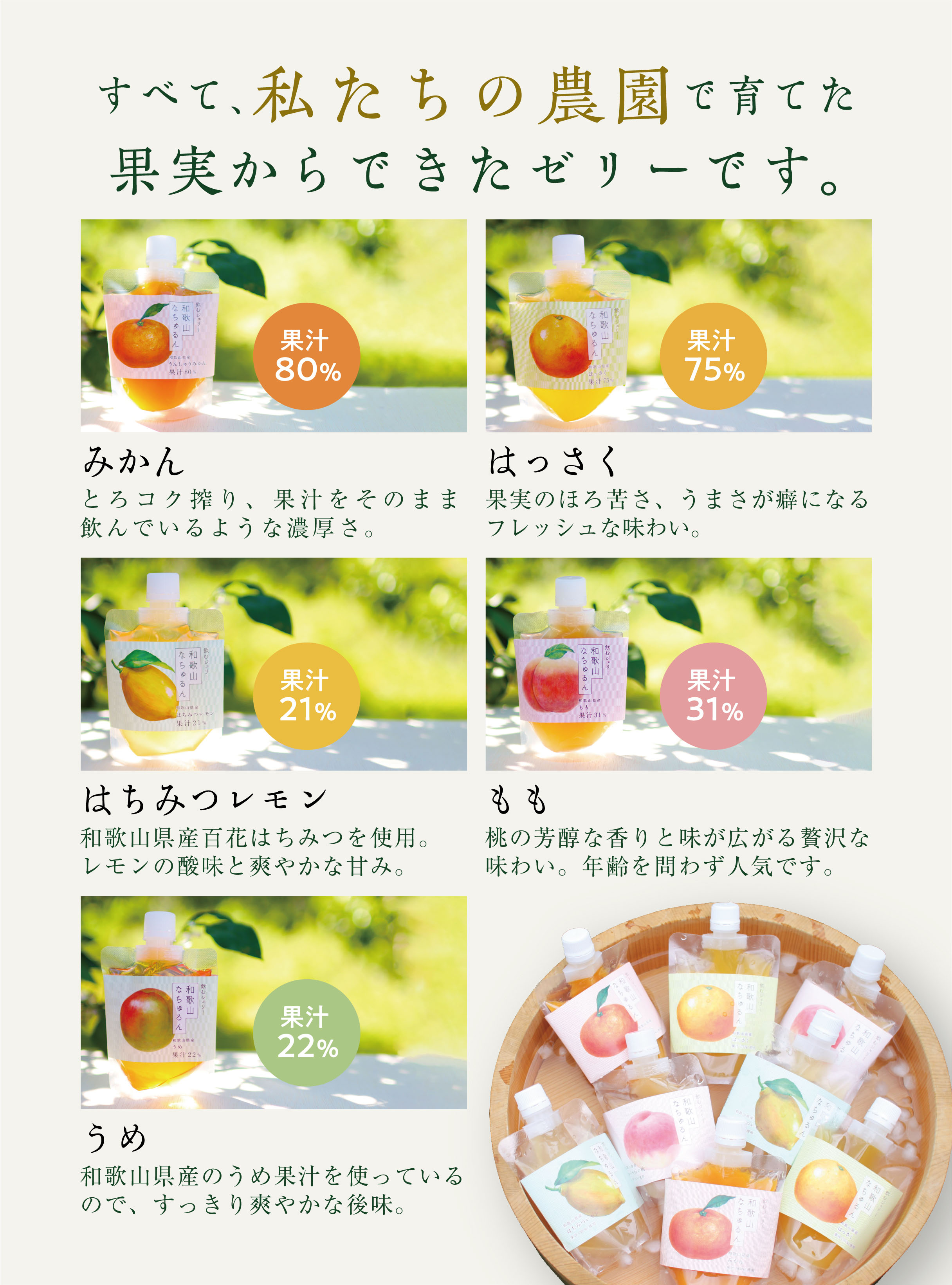 みかんゼリー,はっさくゼリー,はちみつレモンゼリー,なちゅるん,和歌山