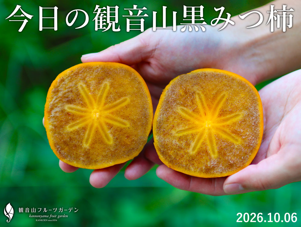 新発売】黒みつ柿とみかんのセット。秋の味わい便・4,980円（送料無料
