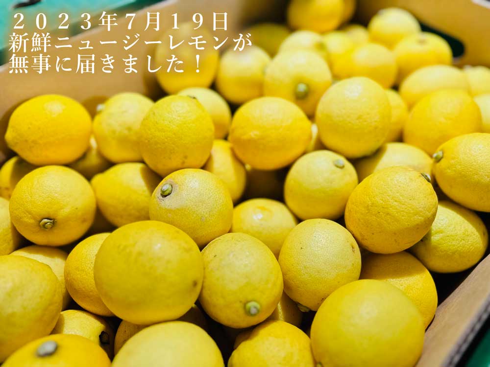 新鮮ニュージランドレモン