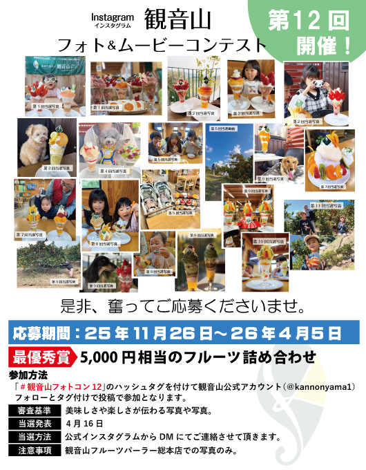 みはやみかんを農家直送！カンキツみはやをお届けします。甘いみはやを