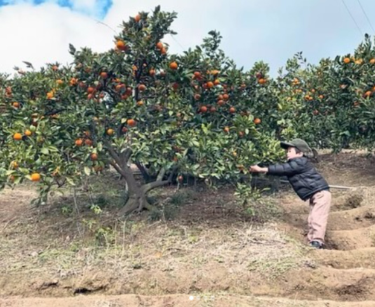 フォトコン9回目最優秀賞