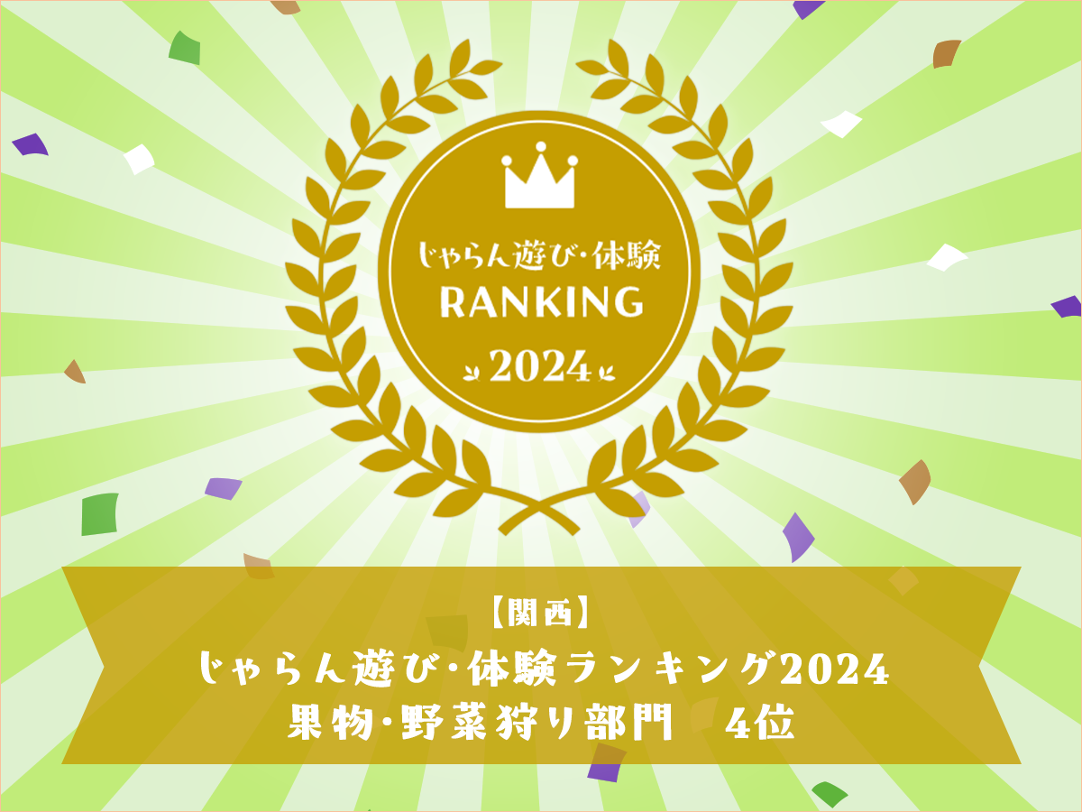 和歌山のみかん狩り（食べ放題）