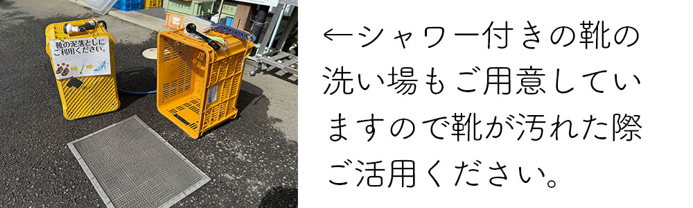 和歌山のみかん狩り（食べ放題）