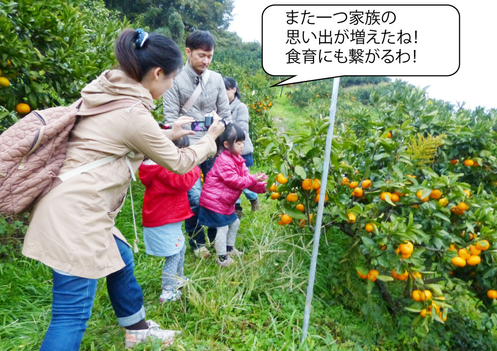 和歌山のみかん狩り（食べ放題）