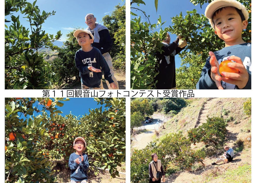 和歌山のみかん狩り（食べ放題）