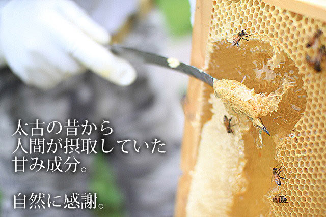 １００％和歌山県産の純粋ハチミツ