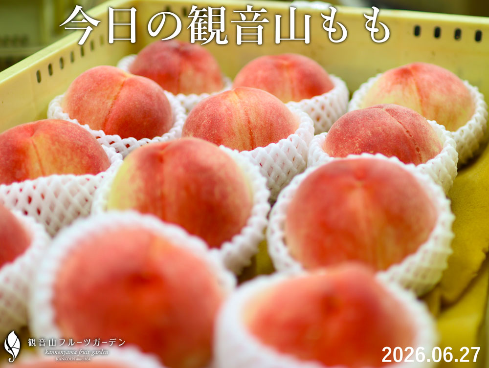 観音山の桃