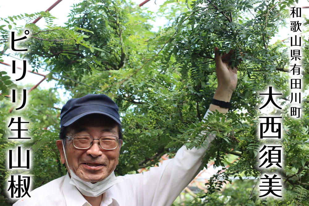 和歌山県産ピリリ生山椒 なまさんしょう