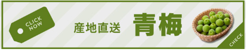 青梅の通販