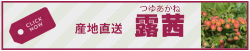 露茜(つゆあかね)の通販