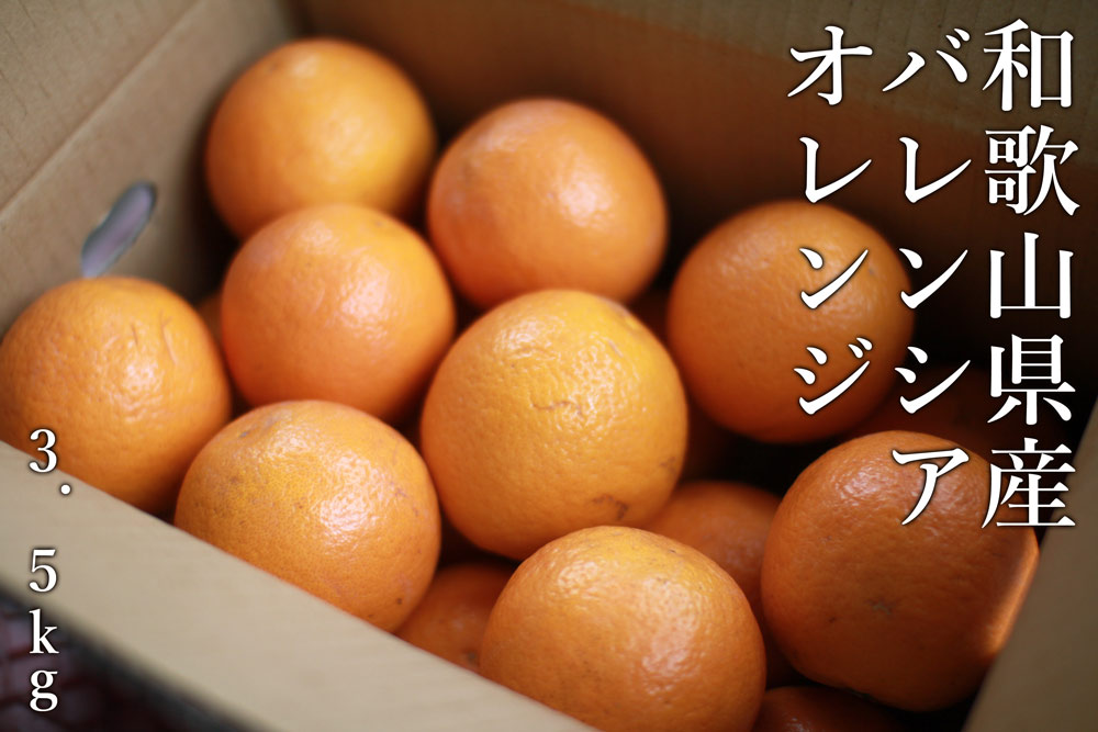 バレンシアオレンジ（幻の国産夏オレンジ）送料無料！｜観音山フルーツガーデン公式通販