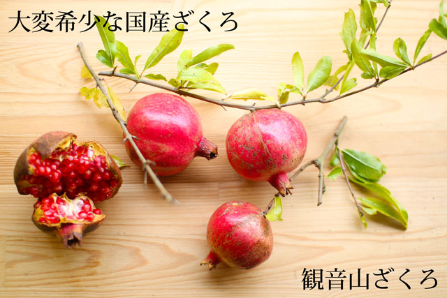 国産ざくろ 大変希少な国産ザクロです 和歌山県産 送料無料